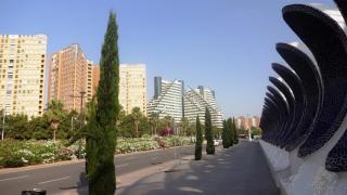 DSC 00957.jpg