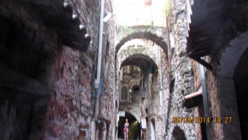 IMG_1534.JPG