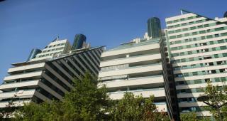 DSC 00923.jpg