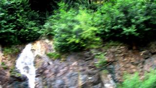 IMG_0075.JPG