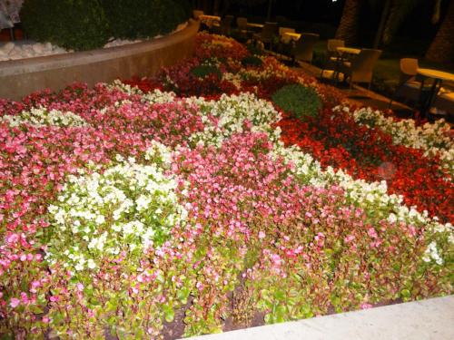 2015-09-29 19-34-58.JPG