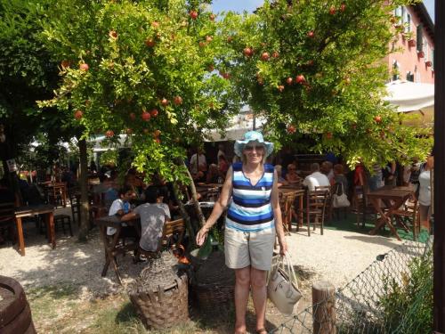 2016-09-11 10-33-44.JPG