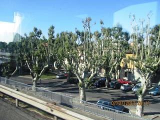 IMG_1910.JPG