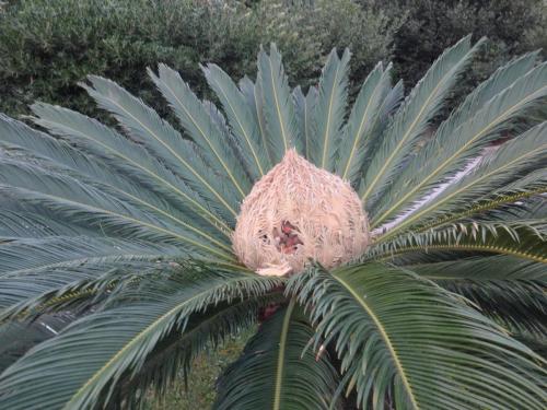 2016-09-13 17-05-00.JPG