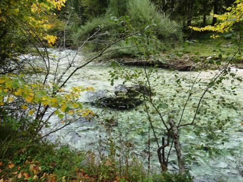 2015-10-02 09-26-02.JPG