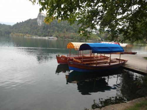 2015-10-02 08-12-34.JPG