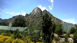 DSC 00685.jpg