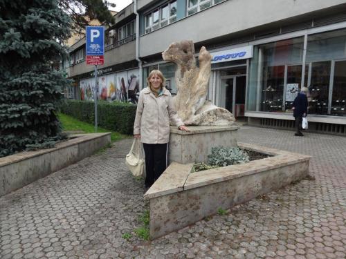 2015-09-29 06-51-42.JPG