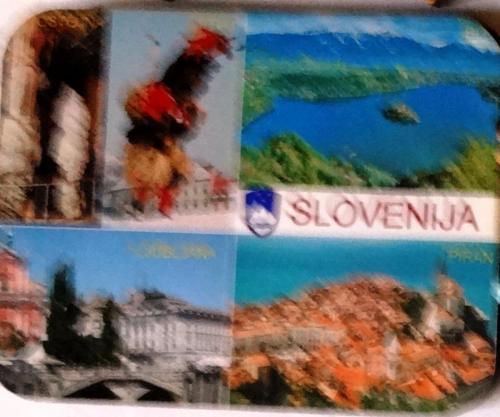 Словения (2).JPG