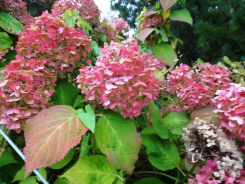 2015-10-02 08-02-20.JPG