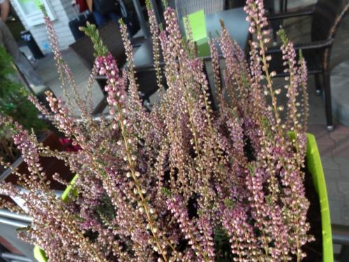 2015-10-04 06-31-46.JPG