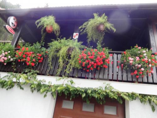 2015-10-01 12-25-26.JPG