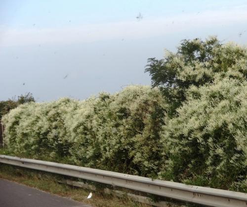 2016-09-16 14-42-56.JPG