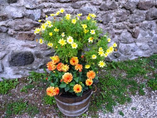 2015-09-27 08-51-14.JPG