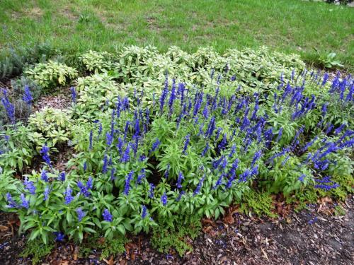 2015-09-27 10-10-04.JPG