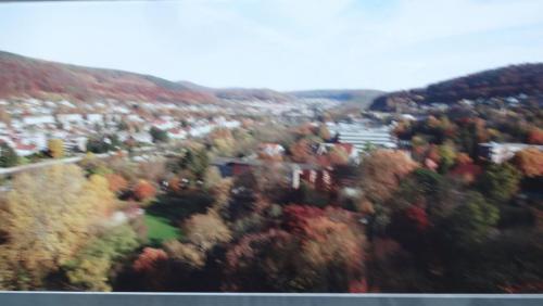 2016-12-30 08-00-54.JPG