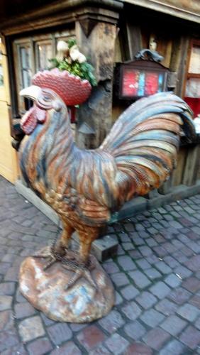 2017-01-01 14-22-38.JPG