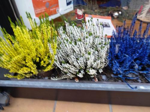 2016-01-04 12-23-50.JPG