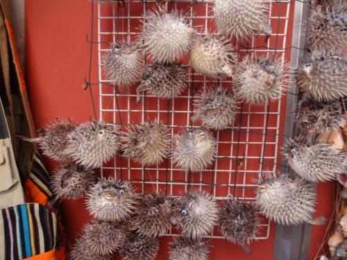 2015-09-30 10-50-24.JPG