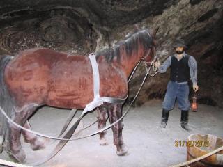 IMG_0616.JPG