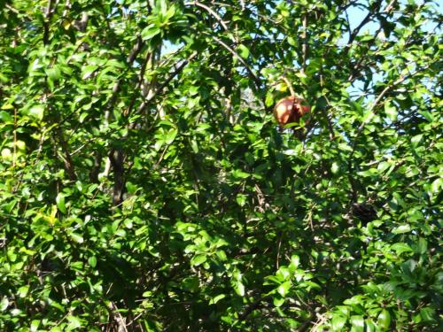 2015-09-30 08-28-14.JPG