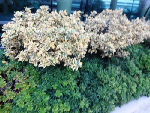 2015-10-01 05-32-20.JPG