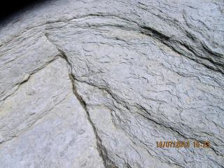 IMG_2252.JPG