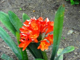 DSC 02837.jpg