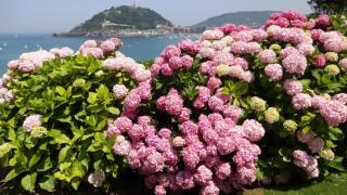 DSC 00482.jpg