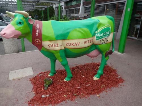 2015-10-02 14-21-18.JPG