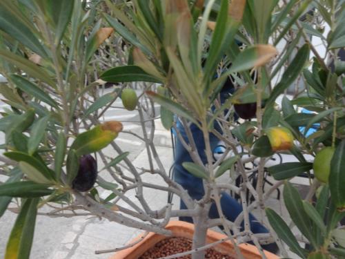 2015-09-30 15-05-26.JPG