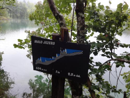 2015-09-29 09-48-44.JPG