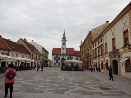 2015-09-28 11-16-22.JPG