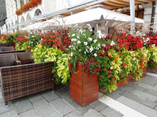 2015-10-01 09-36-04.JPG