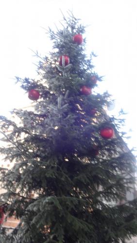 2017-01-01 10-20-42.JPG