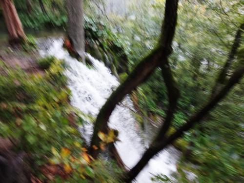 2015-09-29 09-24-50.JPG