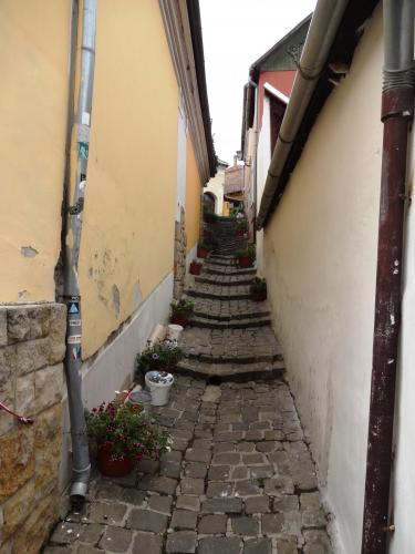 2015-09-27 10-25-34.JPG