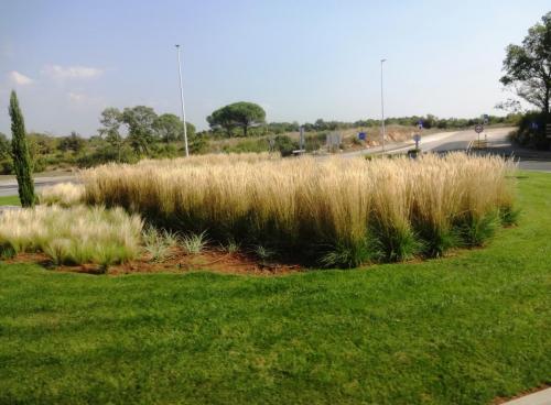 2016-09-13 13-16-46.JPG