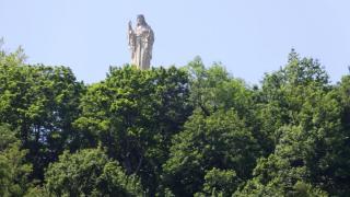 DSC 00556.jpg