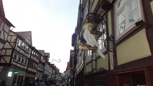 2016-12-30 08-01-38.JPG