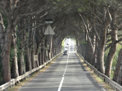 2015-10-01 08-16-42.JPG