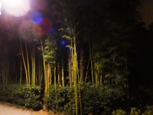 2015-09-29 19-18-38 (2).JPG