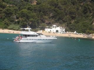 DSC 01337.JPG