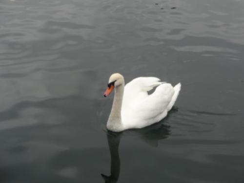 2015-10-02 08-09-52.JPG