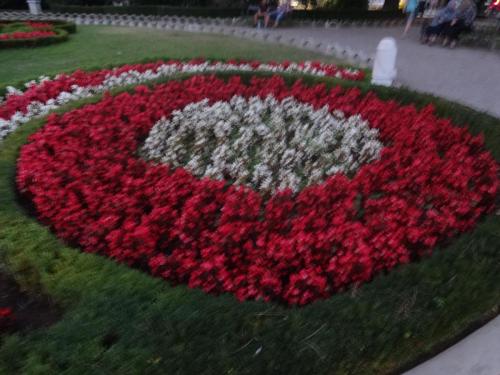 2016-09-13 17-28-26.JPG