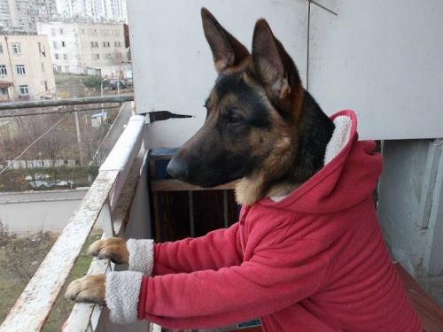 Опять Гидрометцентр обманул....jpg