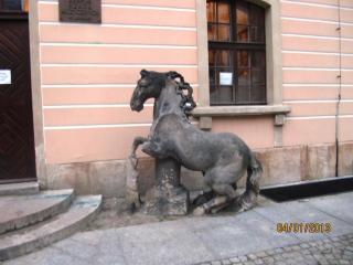 IMG_1181.JPG
