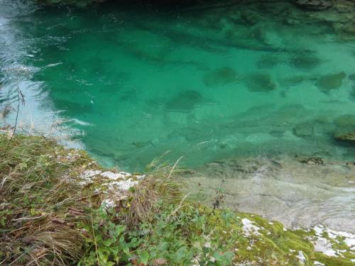 2015-10-02 09-43-54.JPG