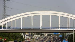 DSC 00730.jpg