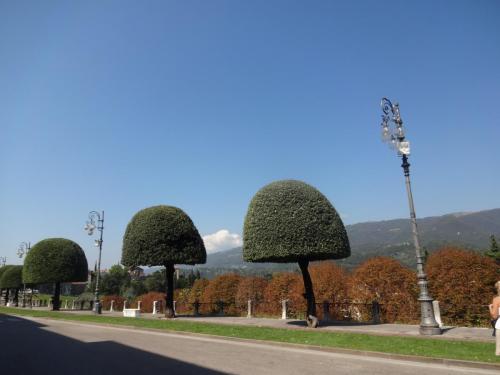 2016-09-09 09-47-00.JPG